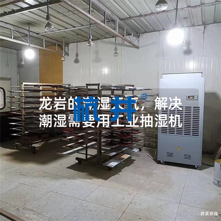龙岩的潮湿天气，解决潮湿需要用工业抽湿机