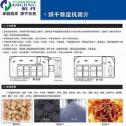 耐高温工业除湿机 木材烘干除湿器 热带高温型抽