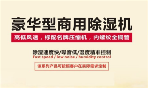 福建龙岩市除湿机厂家_超强吸湿机送货上门